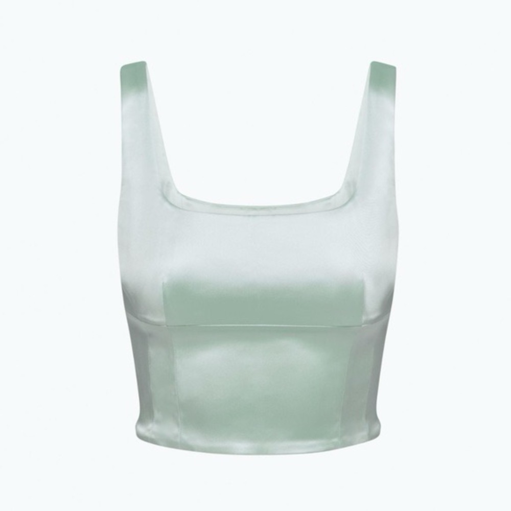 - NWT Aritzia Wilfred Shine Bustier color  Snowmelt Blue size XS